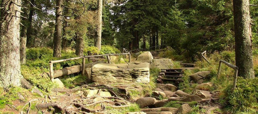 Nationalpark Harz in Sachsen-Anhalt und Niedersachsen