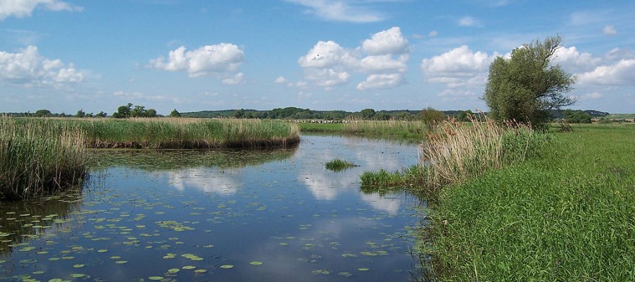 Nationalpark Unteres Odertal