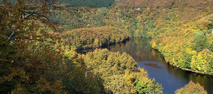 Nationalpark Eifel in Nordrhein-Westfalen