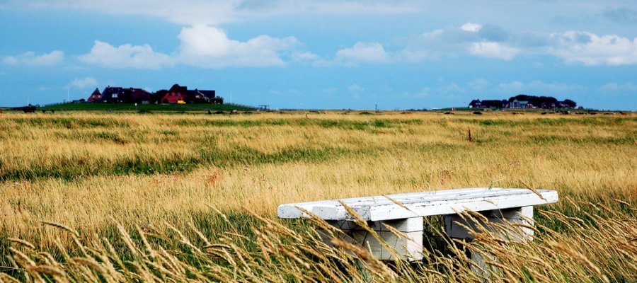 Hallig Hooge